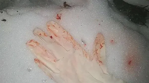 Claire Miller attempted to wash off her sister's blood in the sink with soapy water.