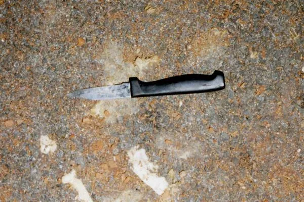 The knife used in trying to kill husband.