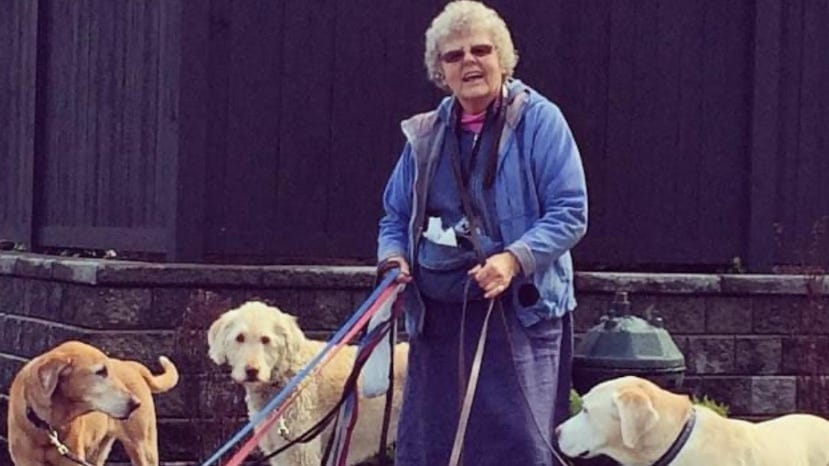 Ruth Dalton: The Heroic Dog Walker Who Gave Her Life Protecting Beloved Pets